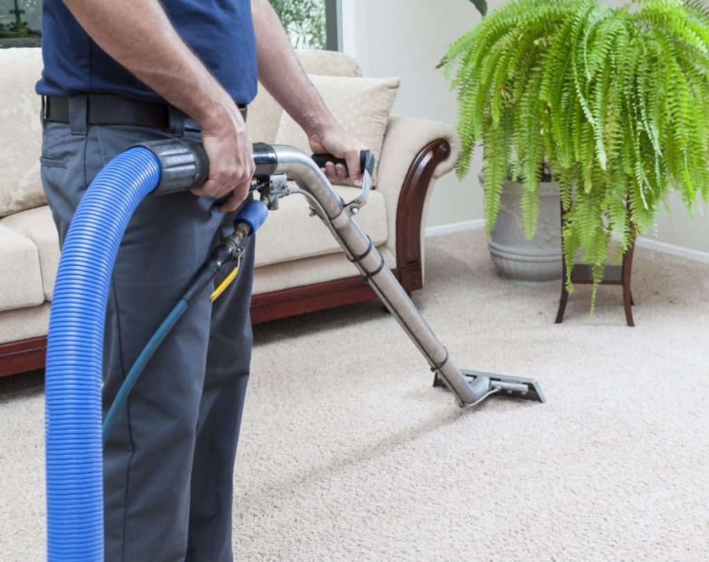 carpet cleaning